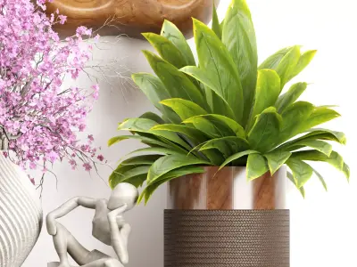Decorative Set 1  3D model