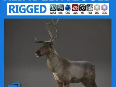 Rigged Reindeer 3D model