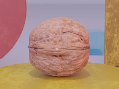 Walnut fruit 02 high-poly 3D model