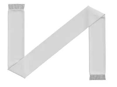 Football Fan Scarf 04 3D model