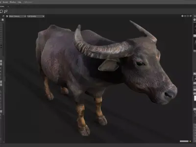 1PBR2film3 and4 television5buffalo6old ox7 bull8 livestock9  Low-poly 3D model