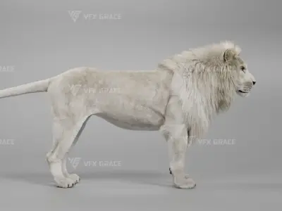 White Lion Animation - Blender 3D model