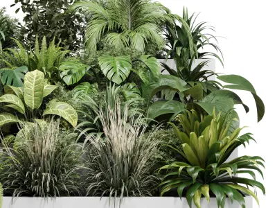  plant  stairs concrete vase pot fern bush grass 3D model