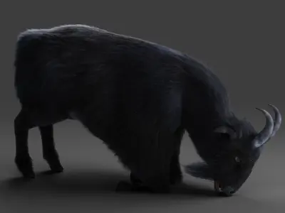 Fur Goat 05 Rigged and Animation Low-poly 3D model