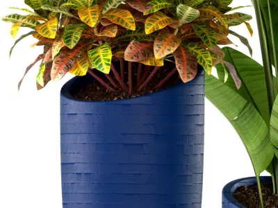 plants set 138 3D model