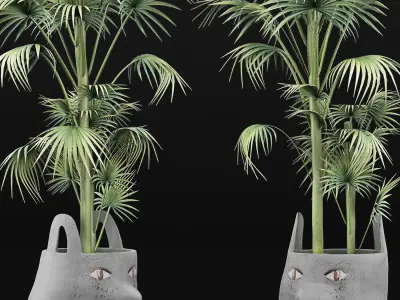 Plants Collection 141 Sabal Minor 3D model