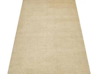 Rug Set 1881 3D model