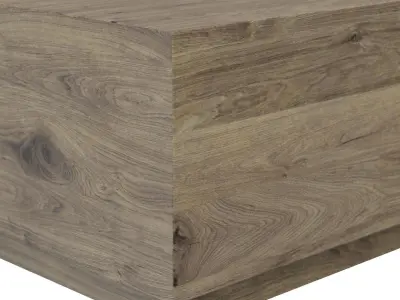 Classic Home Nyla Coffee Table 3D model