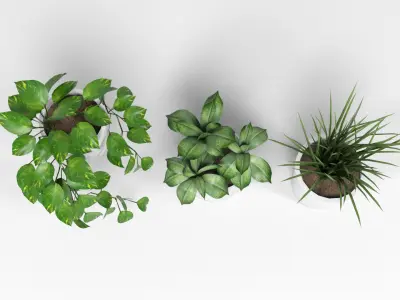 Plants pack 2 Low-poly 3D model