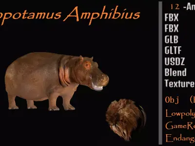 Hippopotamus Amphibius Low-poly 3D model