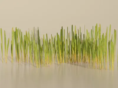 Realistic Grass Pack For Games Free low-poly 3D model