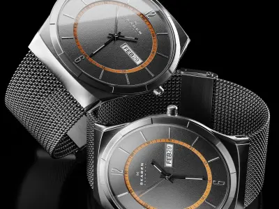 Watch Skagen SKW6007 3D model