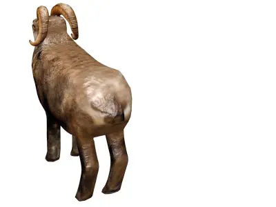 Animated and Rigged 3D Ram Animal Low-poly 3D model
