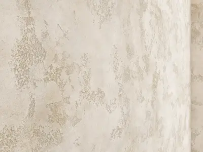 Decorative plaster 21 Texture