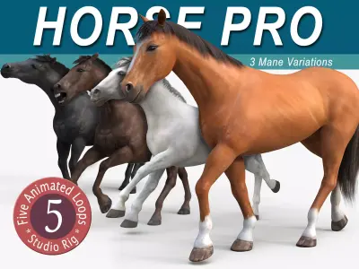 Horses PRO - 4 in 1 Bundle 3D model