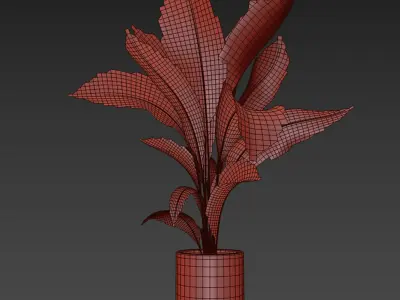 indoor plant 029 3D model