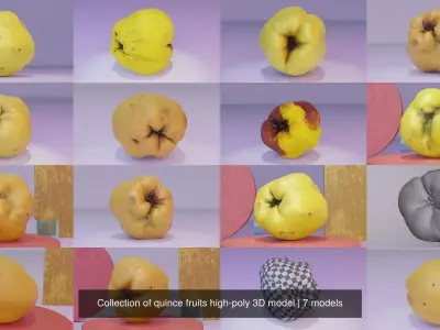 Collection of quince fruits high-poly 3D model