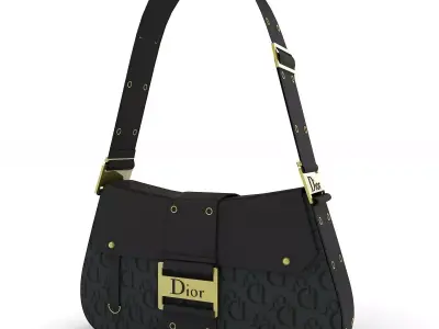 Dior Street Chic Bag Black Print 3D model