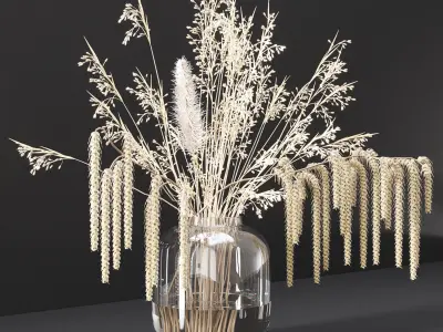 Bouquet with dry plants 3D model