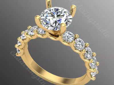  Ring ri255 3D print model