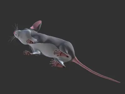 Cartoon Mouse Low-poly 3D model get