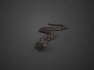 Palestine viper Animated VFX Grace 3D model