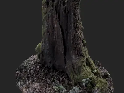 Cut Trunk-02 Low-poly 3D model