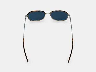 Aiko Sunglasses in Oak Barrel with Riesling 3D model