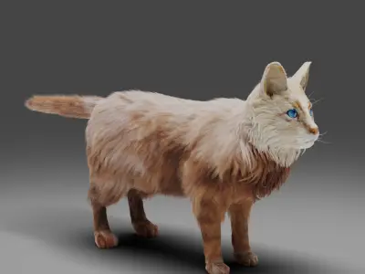 Fur Cat White Rigged in Blender Low-poly 3D model