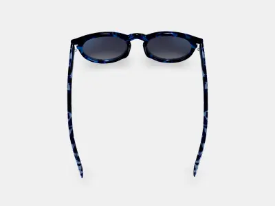 Hayes Sunglasses in Riverbed Tortoise 3D model