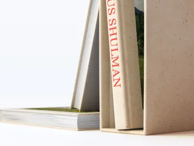 Standing and lying books 3D model