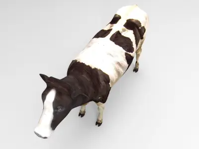 Black White Cow  Low-poly 3D model