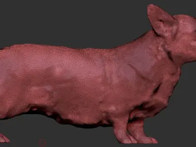 Corgi dog 04 Low-poly 3D model