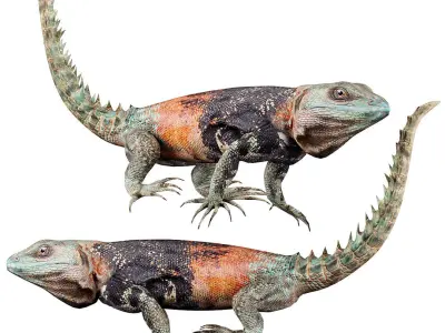 Reptile set two iguanas Low-poly 3D model