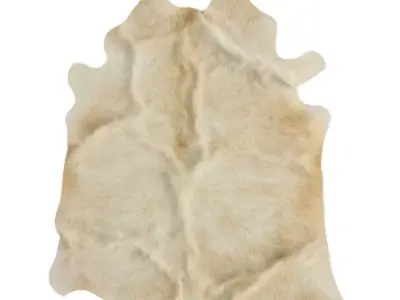 Animal skin rug 18 3D model