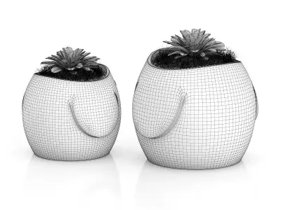 Two Plants in Bird Pots 3D model