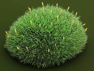 Moss V2 Low-poly 3D model