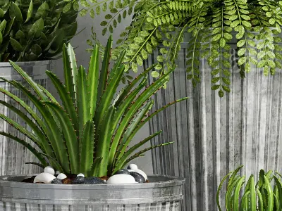 Decorative plant set-43 3D model