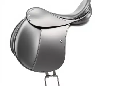 Sleek Saddle model pack Low-poly 3D model