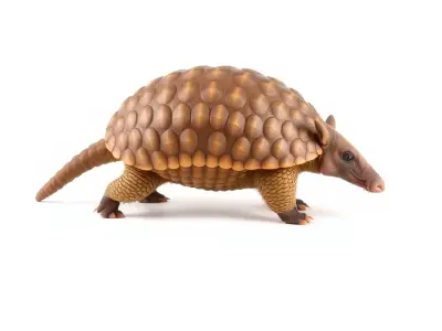 Armadillo Texture Armor model pack Texture