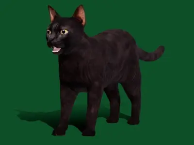 Black Domestic Cat Low-poly 3D model