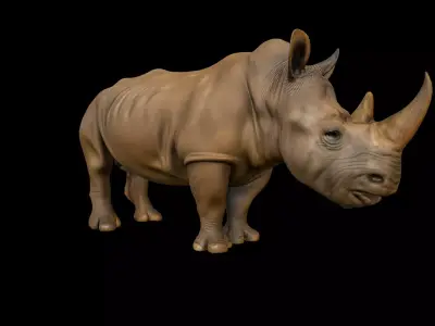 Rhino 3d model Low-poly 3D model