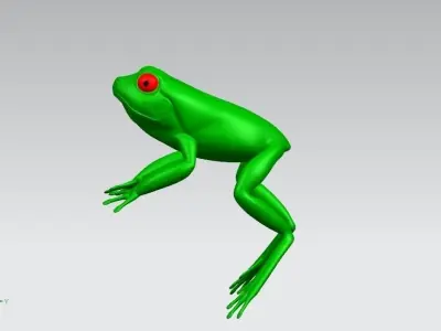 model frog 3D model