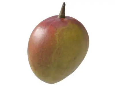 Mango 3D model