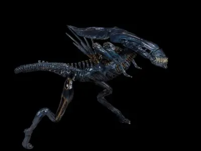 Xeno Queen Free 3D model