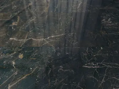 Marble Floor Carelia Black Set Texture