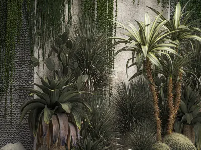 Collection Of Tropical Desert Plants From Cactus 3D model