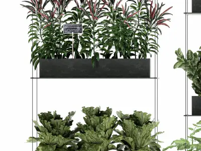 Vertical garden for the kitchen 70 3D model