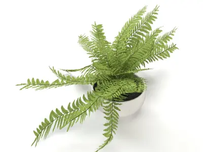 Faux Potted Fern Plant 10in  PBR 3D model