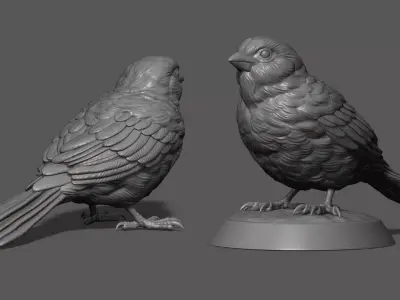 Sparrow on the base 3D print model